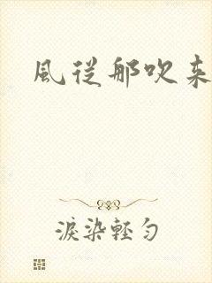 风从那吹来小说