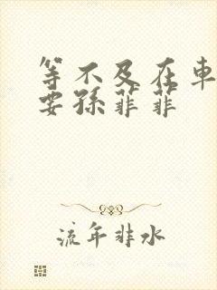 等不及在车里就要孙菲菲