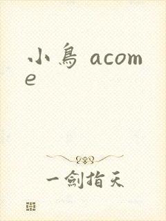 小鸟 acome