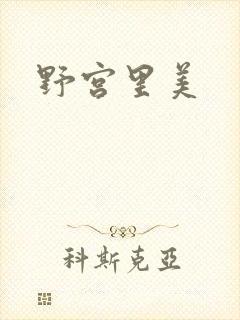 野宫里美