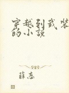 穿越到武装少女的小说