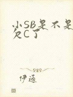 小SB是不是又欠C了