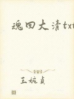 魂回大清txt