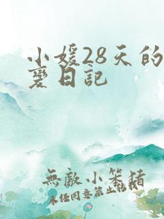 小媛28天的剧变日记