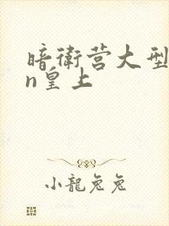 暗卫营大型hpn皇上