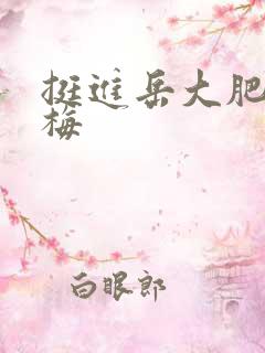 挺进岳大肥屁丽梅