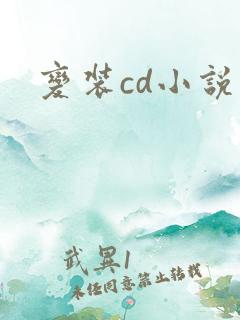 变装cd小说