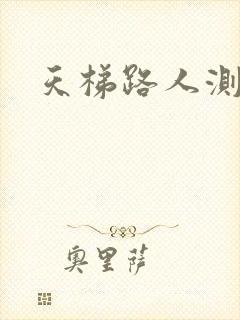 天梯路人测试器