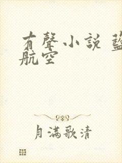 有声小说 蓝天航空