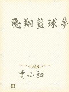 飞翔篮球梦下载