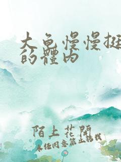 大龟慢慢挺进我的体内