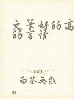 文笔好的高质量的言情