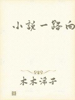 小说一路向西