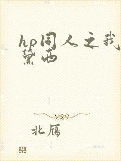 hp同人之我叫黛西