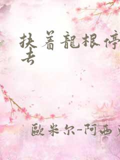 扶着龙根停了进去