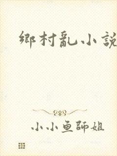 乡村乱小说
