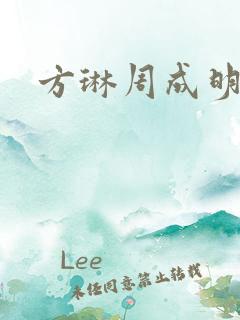 方琳周成明小说