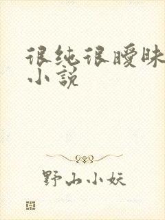 很纯很暧昧有声小说