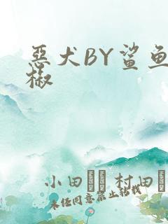 恶犬BY鲨鱼辣椒