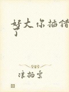 好大你插错地方了