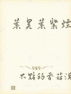 叶昊叶紫烟小说