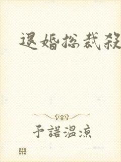 退婚总裁杀手妻