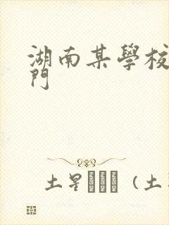 湖南某学校秋千门