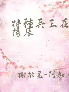 特种兵王在都市杨辰