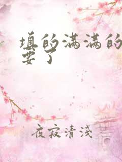 填的满满的 不要了