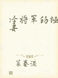 冷将军的极品娇妻