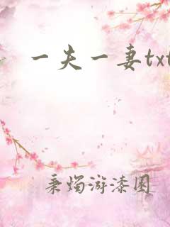 一夫一妻txt
