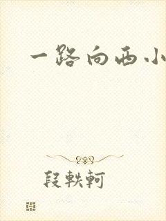 一路向西小说