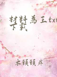 材料为王txt下载