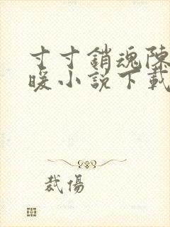 寸寸销魂陈聪王暖小说下载