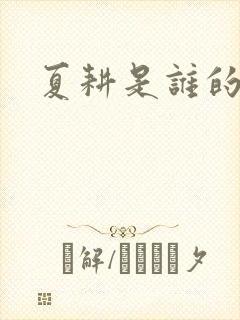 夏耕是谁的女婿