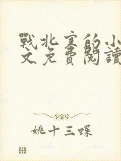 战北寒的小说全文免费阅读无弹窗