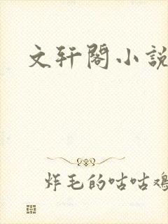文轩阁小说网