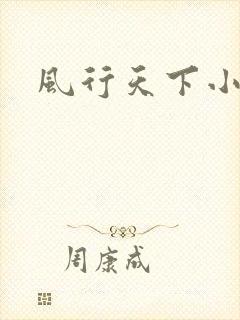 风行天下小说