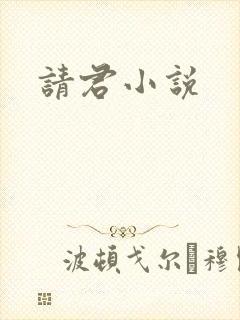 请君小说