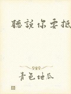 听说你要抵抗我