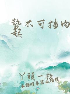 势不可挡肉到飞起