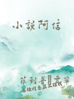 小说阿信