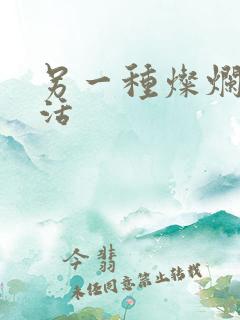 另一种灿烂的生活