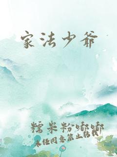 家法少爷