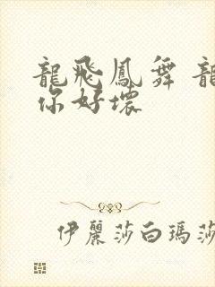 龙飞凤舞 龙王你好坏