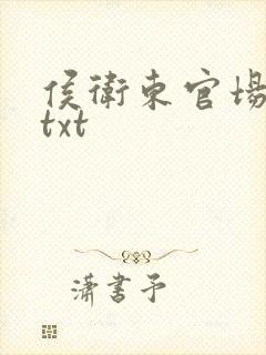 侯卫东官场笔记txt