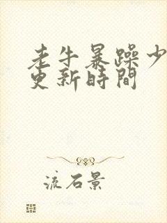 老牛暴躁少女的更新时间