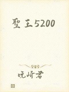圣王5200