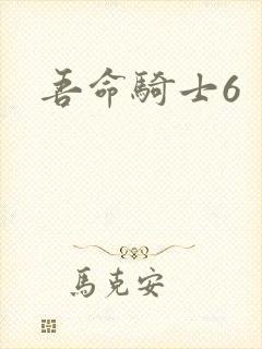 吾命骑士6