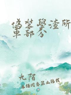 伪装学渣所有开车部分